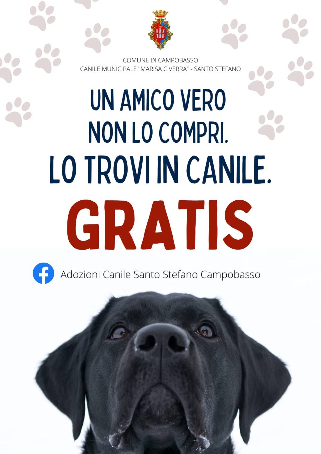 Un amico vero non lo compri, lo trovi in canile.&nbsp;Gratis
